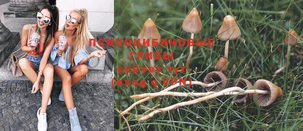 дурь Заводоуковск