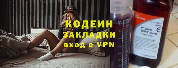 дурь Заводоуковск