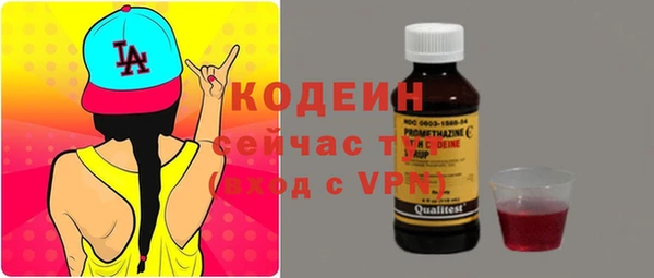 дурь Заводоуковск